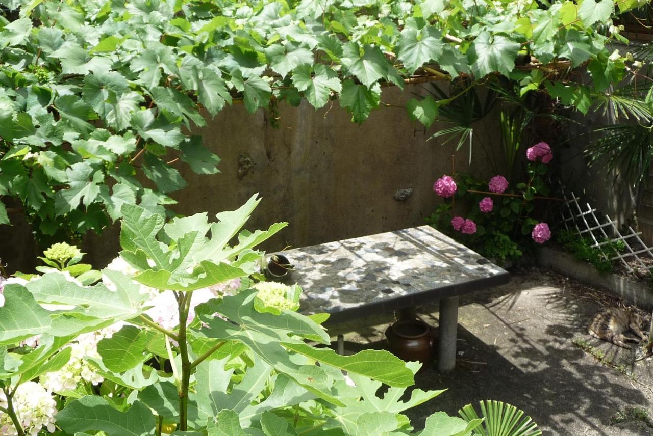 Chambres D'Hotes L'Oustal Oloron-Sainte-Marie Dış mekan fotoğraf